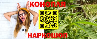 эйфоретик Моздок