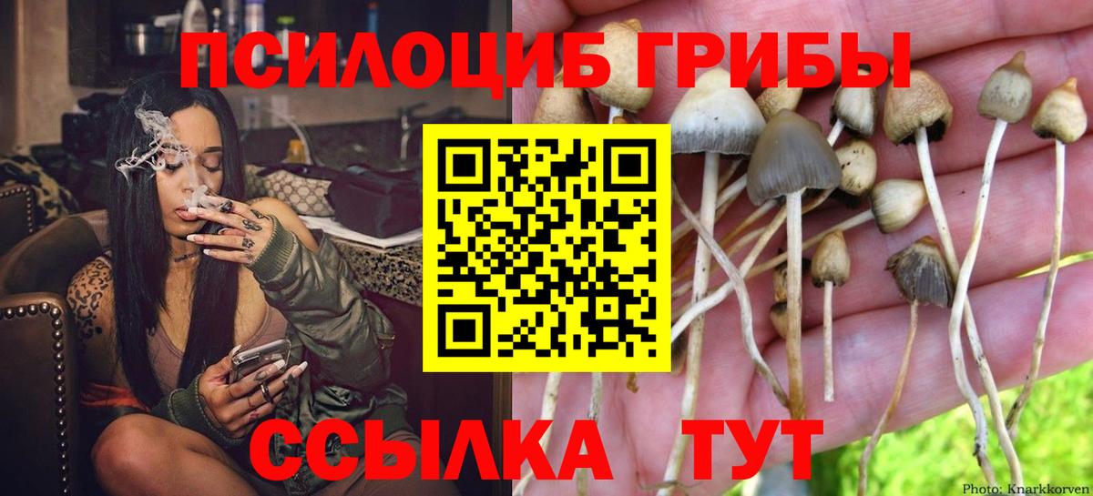 Галлюциногенные грибы MAGIC MUSHROOMS  Псилоцибиновые грибы GOLDEN TEACHER  Вход с VPN  купить наркотики цена  Ульяновск 