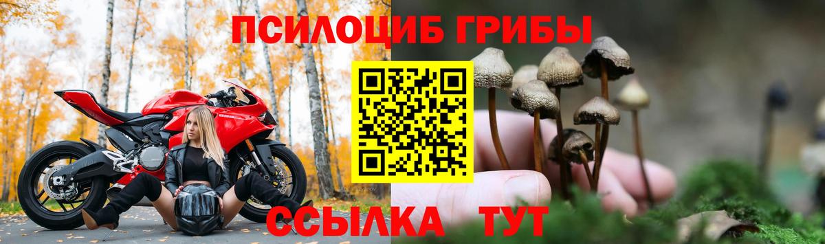 Псилоцибиновые грибы Magic Shrooms Ульяновск
